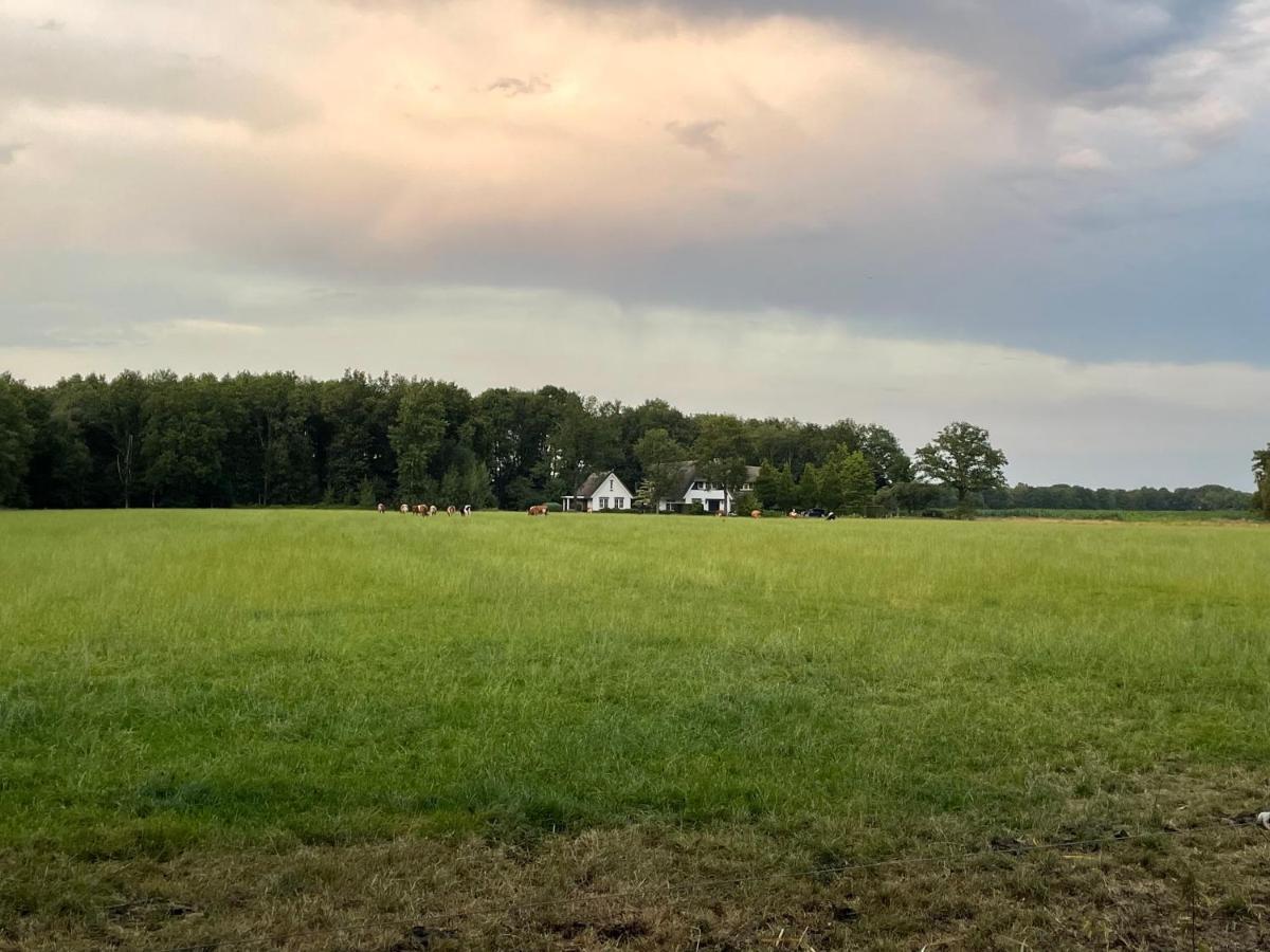 Klein Bosland By Logeren Bij Saar Vila Wijnjewoude Exterior foto